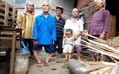 Đại gia đình người lùn và giấc mơ vươn cao